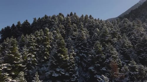 montañas nevadas de invierno con árboles