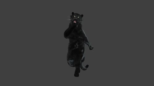 Realistic Animated Black Panther Standing on Hind Legs