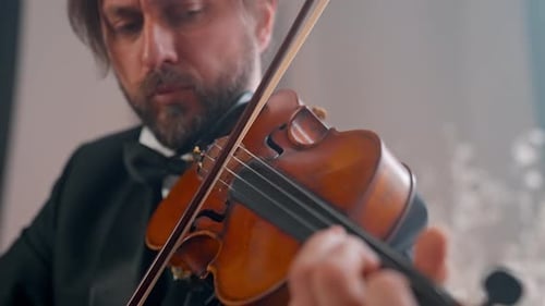 Violinist Plays Elegant Music at Indoor Event