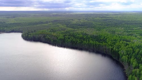 Flying above lake against the forests of spruce and pine trees. Drone collection