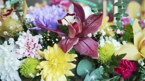 Colorful Flower Arrangement Close Up With Orchids