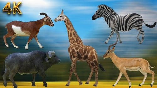 Animated 3D Realistic Walking Wild Animals Pack