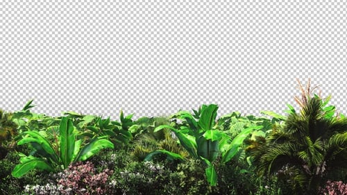 Lush Tropical Foliage Foreground Animation