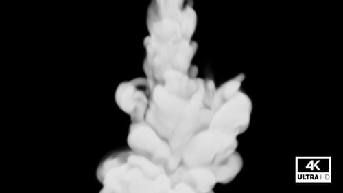 Dynamic White Fluid Smoke Ink Reveal Transition