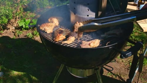 Barbecue in Nature Fried Meat