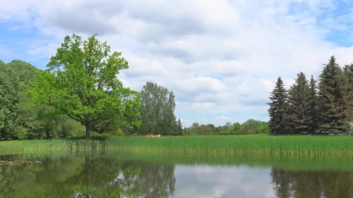 Park & Pond