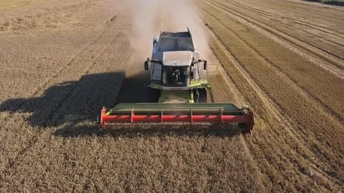 Combine Harvester Cuts Golden Crops in Rural Farmland