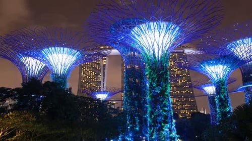 Singapore Supertree Grove Night Cloudy Time-lapse