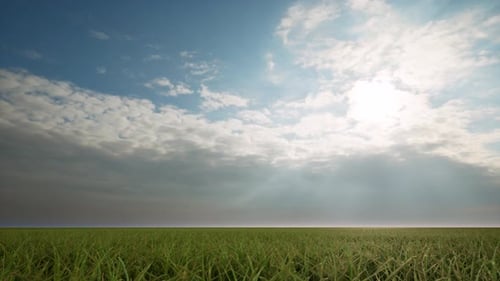 Green Grass Field Cloudy Sky Beautiful Landscape Nature Lawn Spring