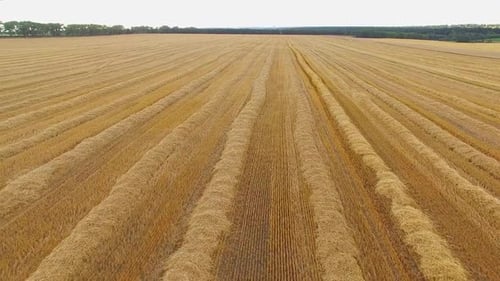 View of Field From Air