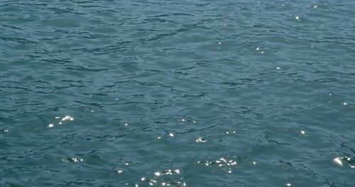 Sea surface water with sunlight sparkle