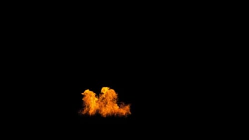 Fire