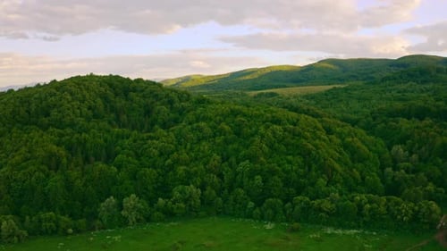 Aerial View on Nature Scene Daytime