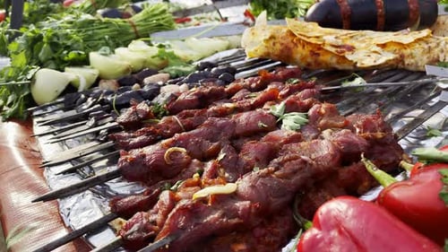 Meat Food On A Barbecue Fire 2