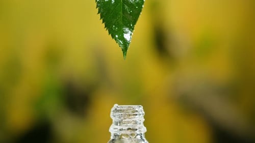 Perfumery