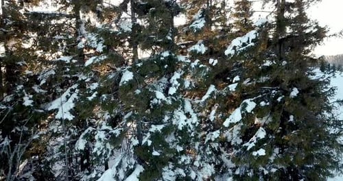 From Great Heigh Fairytale Mountain Landscape Snow Covered Alpine Sharp Peaks