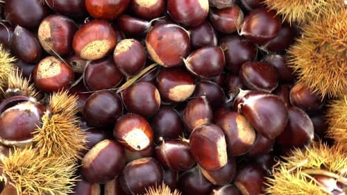 Chestnuts