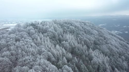 Winter Calmness