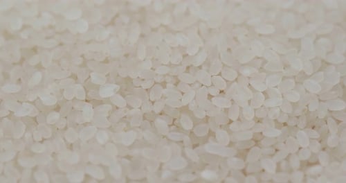 White rice close up