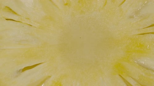Delicious Pineapple Slice Close Up Showing Juicy Texture