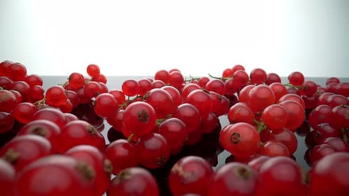 Fresh Red Currants on a Reflective Surface