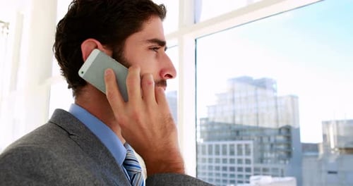 Handsome businessman talking on phone
