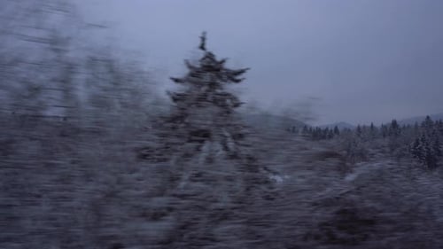 Traveling By Train Snowy Fields And Woods