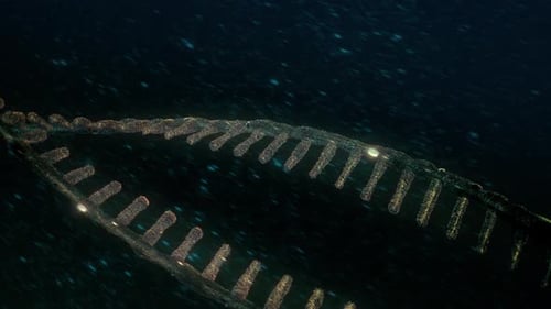 Hélice d'ADN isolée dans une vue rapprochée macro