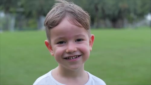 Portrait Funny Little Boy Smiling Chil Looking at Camera Are Walking on the Park, Cute Kid Preschool