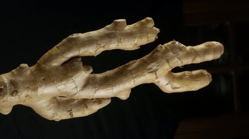 Close-up of Ginger Root