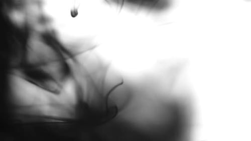 Black Ink Drops in Water