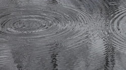 Rains