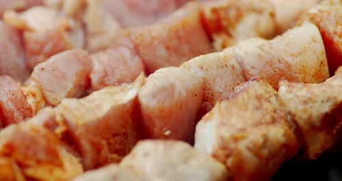 Pieces of Meat on Skewers Turn Over on Fire.