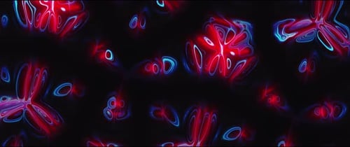 Abstract Neon Flowing Liquid Lines Motion Background