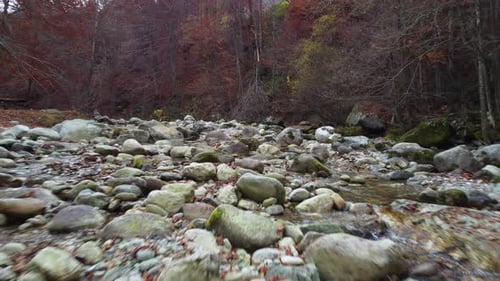 Autumn river mountain, fall forest trees foliage aerial view