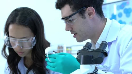Scientists Examining Mouse Sample in Bright Modern Laboratory