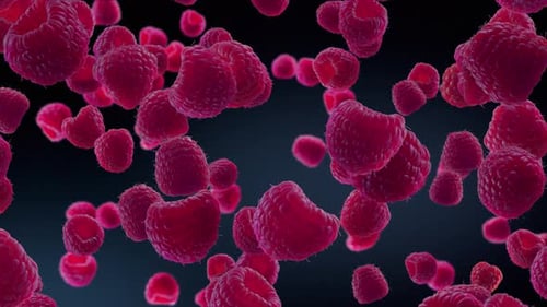 Floating Raspberries Seamless Loop Background