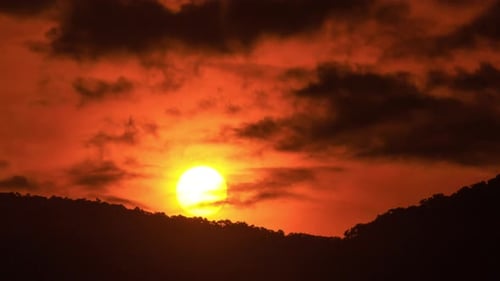 Majestic Sunrise Behind Dark Trees and Clouds