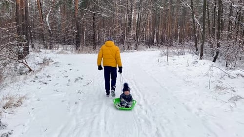 a Father Takes a Child on a Sled in a Snowy Forest