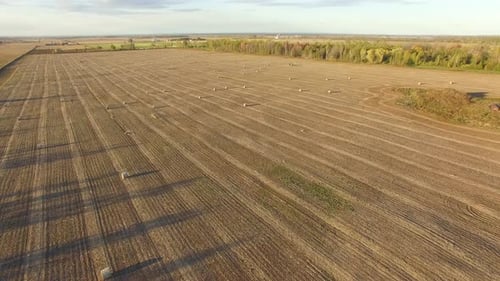 Beautiful flat farmland seen from the air. Golden field of harvested grain and large round bales of