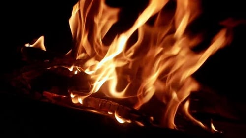 Wood Fire Burning Brightly in the Dark