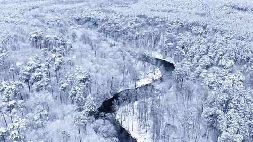 Frozen forest and winter curvy river. Aerial view of Poland.