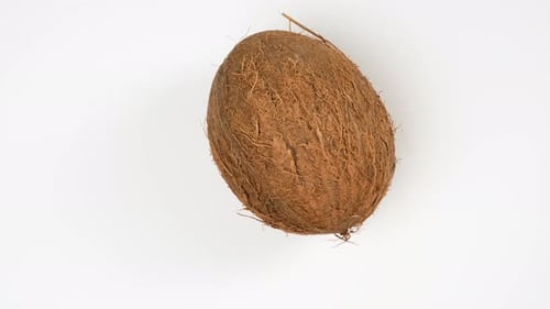 ripe whole round coconut on a white background, top view