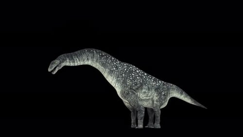 Titanosaurus Dinosaurier 4K
