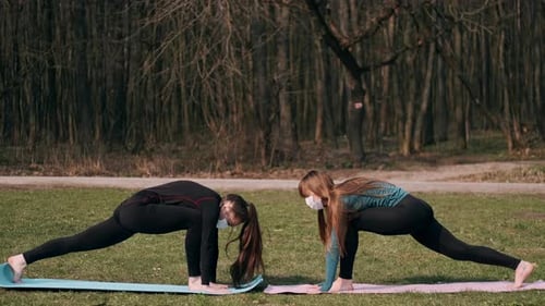 Two Women Exercising Together in Park Sunlight
