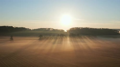 Misty landscape with forest and meadows at sunrise