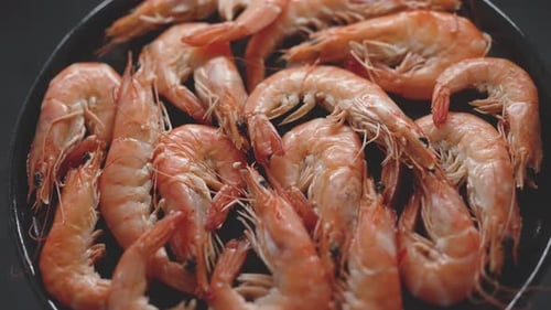 Boiled Big Sea Prawns or Shrimps Placed on Black Ceramic Plate