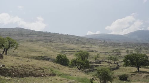 Panorama de la vallée avec des arbres et des collines rares
