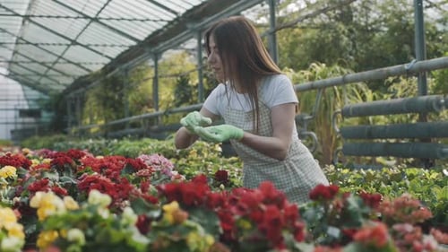 Woman Tending to Flowers in Greenhouse