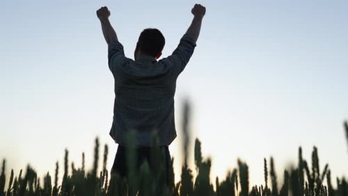 Farmer with Raised Hands Standing in Middle of Golden Wheat Field During Sunrise and Sunset